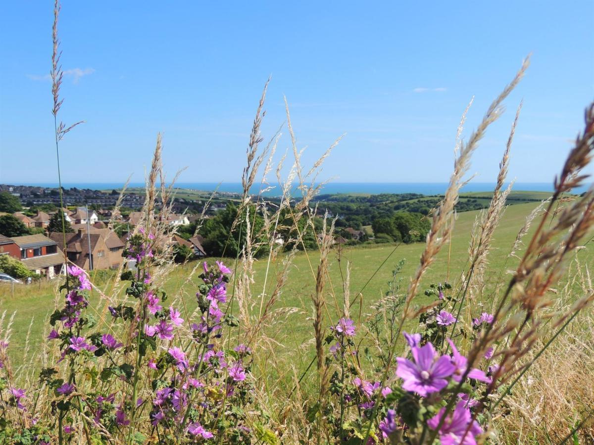 Downs Inn Stanmer